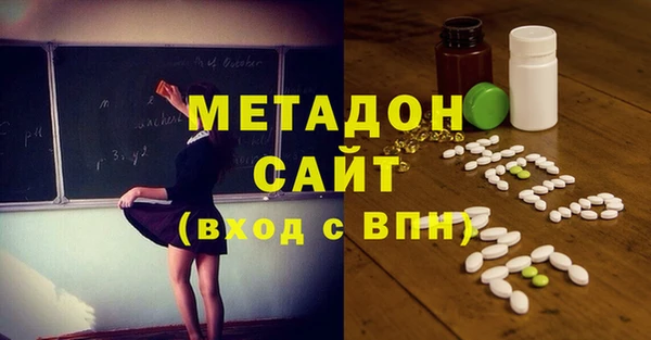 прущие грибы Вязники