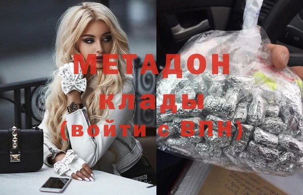 прущие грибы Вязники