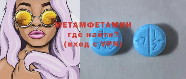 прущие грибы Вязники
