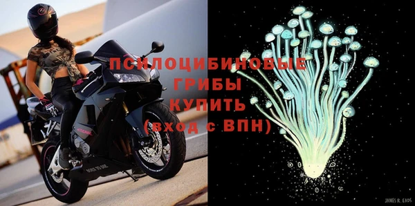 прущие грибы Вязники