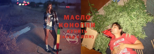 прущие грибы Вязники