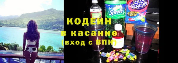 прущие грибы Вязники