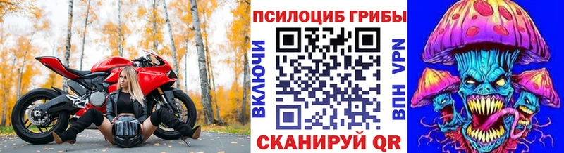 blacksprut ONION Заполярный Галлюциногенные грибы Psilocybe
